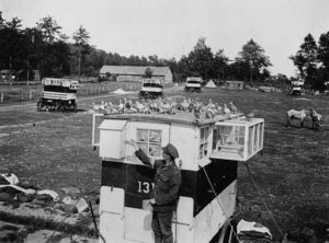 Mobile pigeon lofts