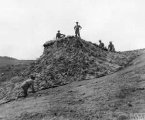 BRITISH FORCES DURING THE SALONIKA CAMPAIGN 1915-1918