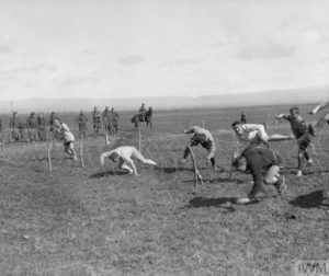 THE MACEDONIAN CAMPAIGN, 1915-1918