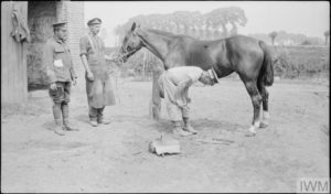 LIEUTENANT HERBERT PRESTON'S SERVICE WITH 120TH BATTERY, ROYAL FIELD ARTILLERY, DURING 1915