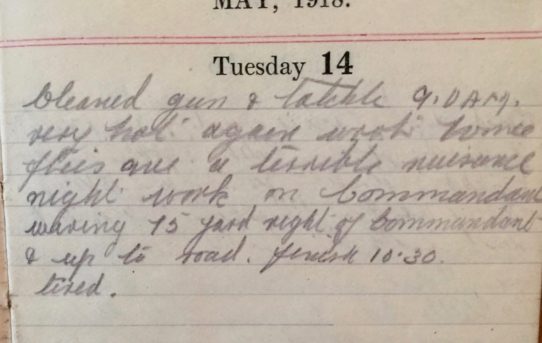 Flies & Hygiene - May 14th, 1918